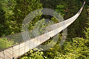 Capilano suspension bridge in Canada