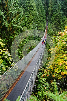 Capilano Suspension Bridge