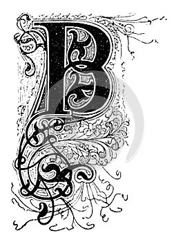 Capital Decorative Ornate Letter B, With Floral Embellishment or Ornament. Vintage Antique Drawing