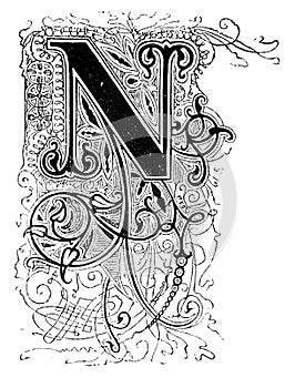 Capital Decorative Ornate Letter N, With Floral Embellishment or Ornament. Vintage Antique Drawing photo