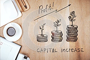 Capital increase