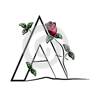 Capital initial letter A with red rose. Decorative font with flower and green leaves for monograms and logos.