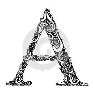 Capital Letter A - Calligraphic Vintage Swirly