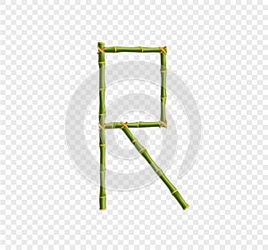 Capital letter R made of green bamboo sticks on transparent background