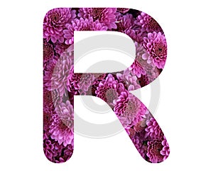 Capital letter R made of pink dahlia flowers isolated on white background