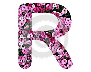 Capital letter R made of pink petunia flowers isolated on white background