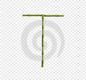 Capital letter T made of green bamboo sticks on transparent background