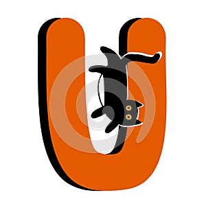 Capital Letter U ,Orange Alphabet Clipart with Black Cat