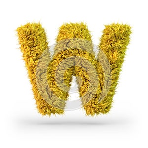 Capital letter W. Uppercase. Yellow fluffy and furry font. 3D