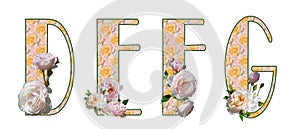 Capital letters of the Latin alphabet D, E, F, G with pink blurred floral fill and white roses. Isolated elements on a white.