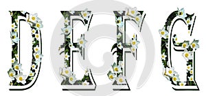 Capital letters of the Latin alphabet D, E, F, G. Spring festive texture with  white flowers.