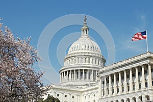 Capitol Building U.S. Congress