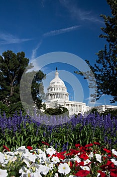 Capitol Building, Washington DC