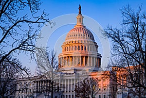 The Capitol Building - Washington DC
