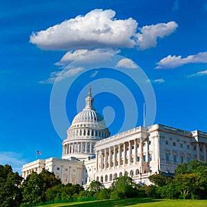 Capitol building Washington DC sunlight day US