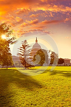 Capitol building Washington DC sunset garden US