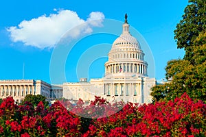 Capitol building Washington DC US congress