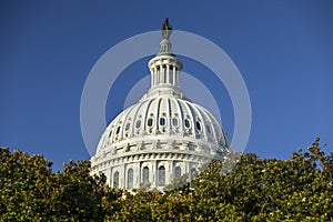 Capitol building in Washington DC USA