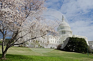 Capitol Building in Washington DC USA in spring