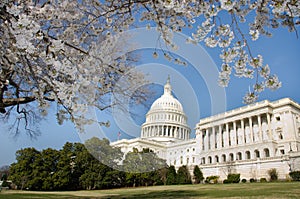 Capitol Building in Washington DC USA in spring