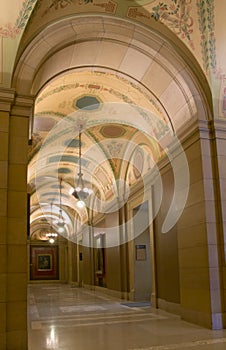 Capitol Ceiling Vaults photo
