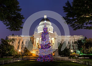 Capitol Christmas Tree photo