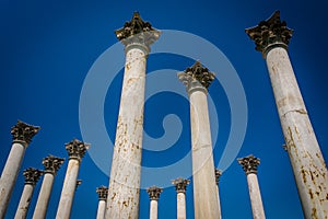 The Capitol Columns at the National Arboretum in Washington, DC.