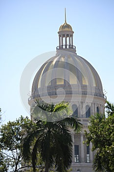 The Capitol Dome rises above the trees on a sunny day. Havana, Cuba