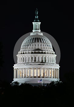 The capitol at night photo