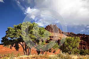 Capitol Reef National Park