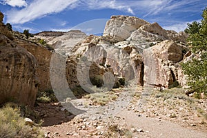 Capitol Reef National Park