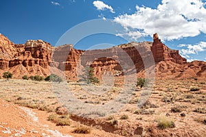 Capitol Reef National Park