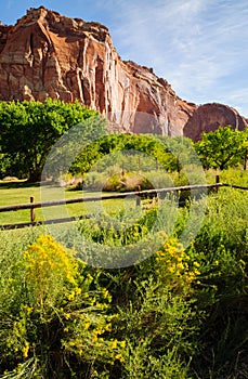 Capitol Reef National Park