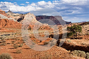Capitol Reef scenery at sunset, views along the scenic drive following the Waterpocket Fold