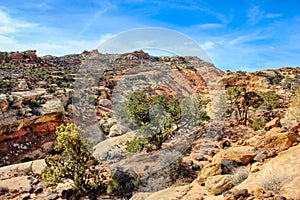 Capitol Reef Terrain