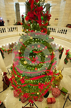 Capitol Rotunda Christmas Tree