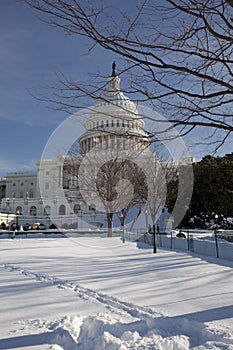 The Capitol Winter