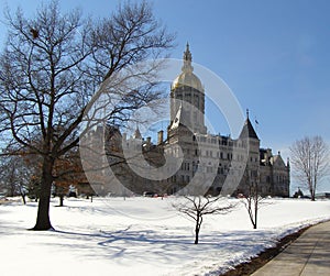 Capitol Winter View