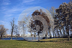 Capitol of Wisconsin seen across Monona Lake photo