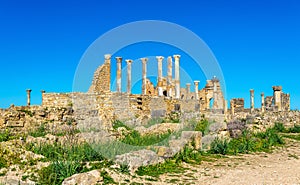 The Capitoline Temple and the Roman Basilica in Volubilis, Morocco