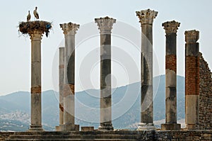 The Capitoline Temple, Volubilis, Morocco