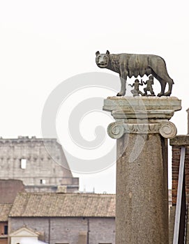 The capitoline she wolf