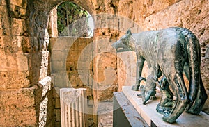 Capitoline Wolf in ancient Tarraco. Tarragona, Spain photo