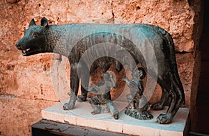 Capitoline Wolf in ancient Tarraco. Tarragona, Spain photo