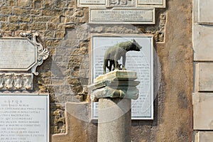 The Capitoline Wolf is a bronze sculpture. Romulus and Remus founders of Rome