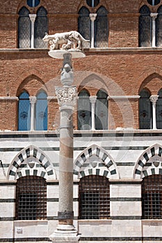 Capitoline Wolf in front of Duomo, City of Siena, Tuscany, Italy