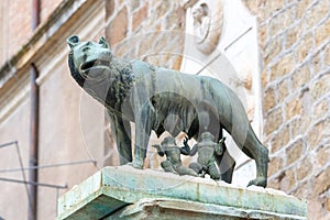 Capitoline Wolf, Italian: Lupa Capitolina - bronze sculpture of she-wolf nurses Romulus and Remus, Capitoline Hill, Rome