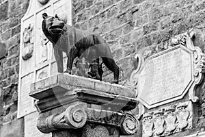 Capitoline Wolf, Italian: Lupa Capitolina - bronze sculpture of she-wolf nurses Romulus and Remus, Capitoline Hill, Rome