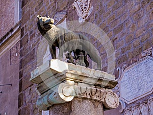 Capitoline Wolf