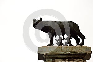 Capitoline Wolf Rome Italy
